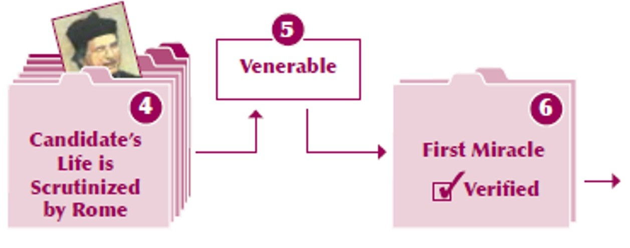 Cause for Sainthood Graphic: Steps 4 - 6.